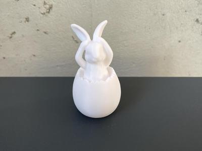 Easter bunny sitting in an egg