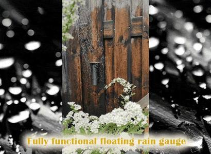 Fully functional floating rain gauge