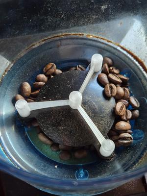Rancilio Rocky Grinder Screw Cover