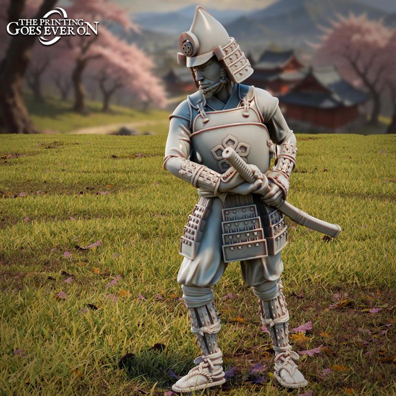 Ashigaru Captain - Presupported