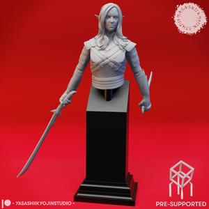 Drow Assassin - Bust (Pre-Supported)