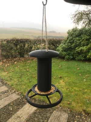 Bird Seed Feeder