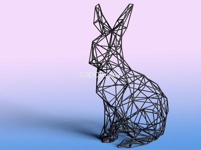 Rabbit 🐇🏠 