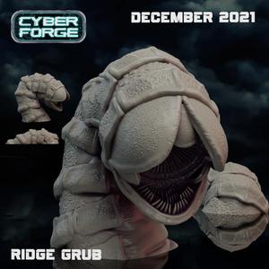 Cyber Forge Land of Sand Ridge Grub