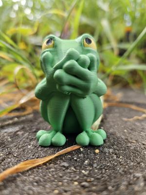 Speak No Evil Frog