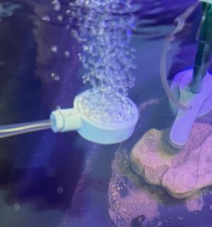 Aquarium fish tank Airstone Bubbler