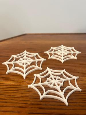 Spider Web Coaster