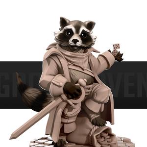 Raccoonfolk Thief