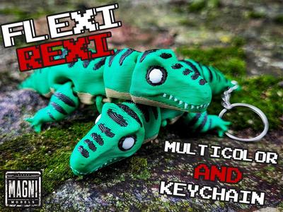 Flexi Rexi