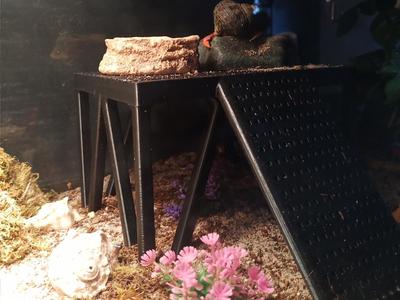 Hermit Crab Feeding Platforme