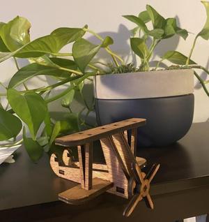 3D Laser-Cut Wooden Model Plane | No Glue &amp; Moving Propeller