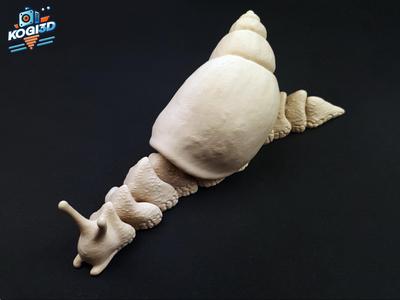 Giant Articulated African Snail