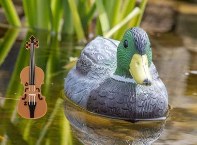 DUCK DECOY