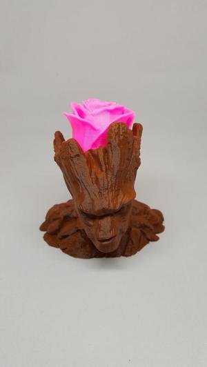 Groot vase plant - One Piece