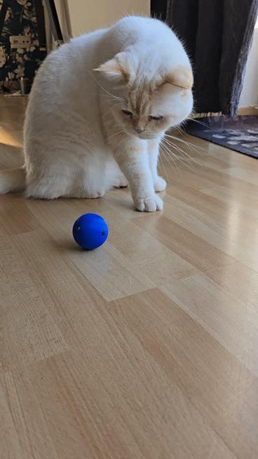 Cat ball with small balls inside - Print in place
