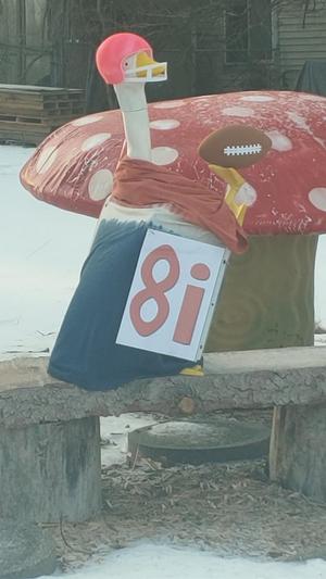 Lawn Goose Football Outfit