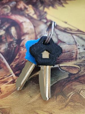 Schlage Key Silencer