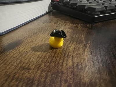 Tiny duck wearing a pirate hat