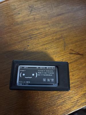 Pwnagotchi Case