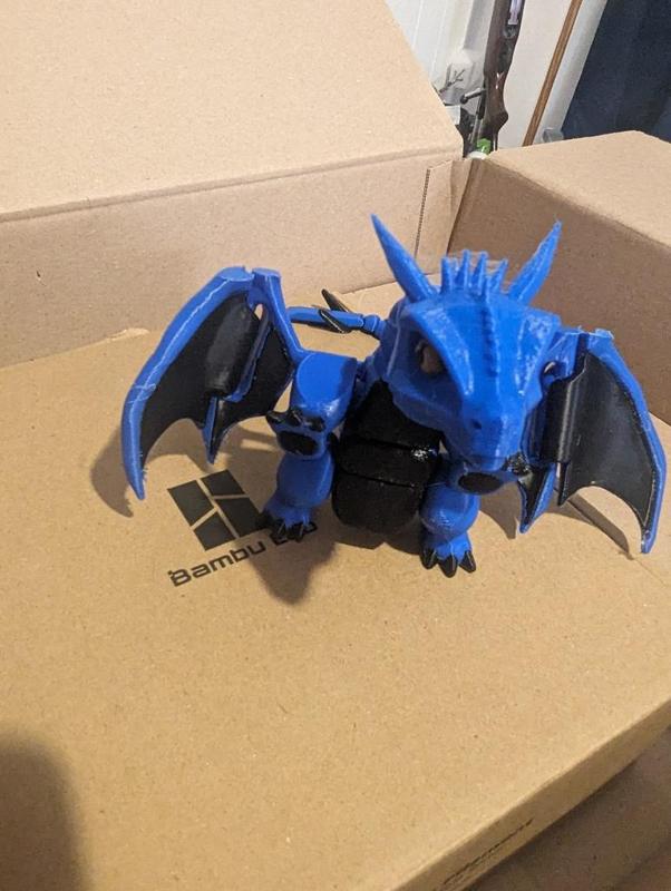 Sagaeyl Fourth Wing Dragon