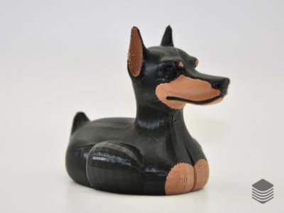 Doberman Duck