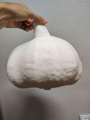 Garlic scan - big box with magnets
