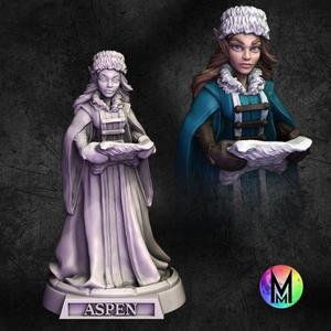 Female Elf Wizard - Aspen the Female Wizard ( Female frost elf wizard with scroll)