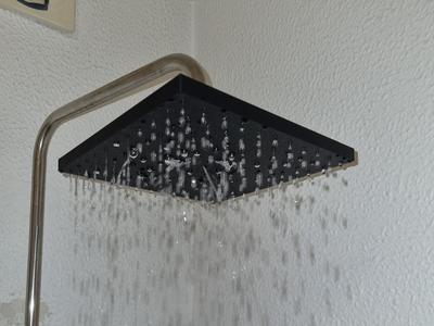 Rain shower head