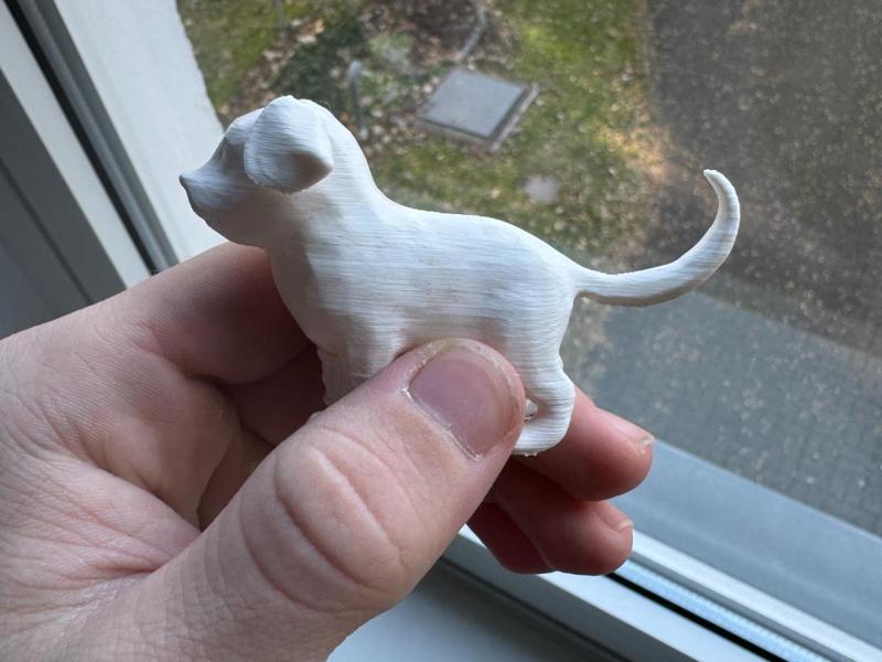 Cute low poly dog (sell it)