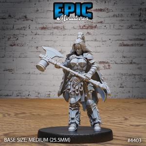 Barbarian Warrior Female / Arctic Warrior / Frozen Human / Snow Fighter / Wildling / Woodland Encounter