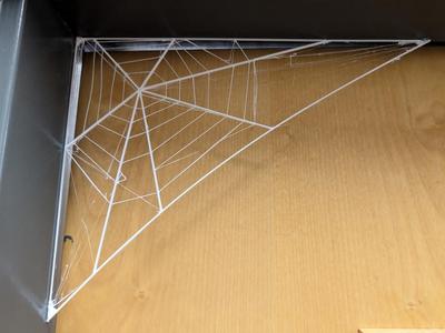 Door Frame Spider Web