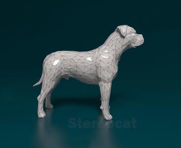 American Bulldog