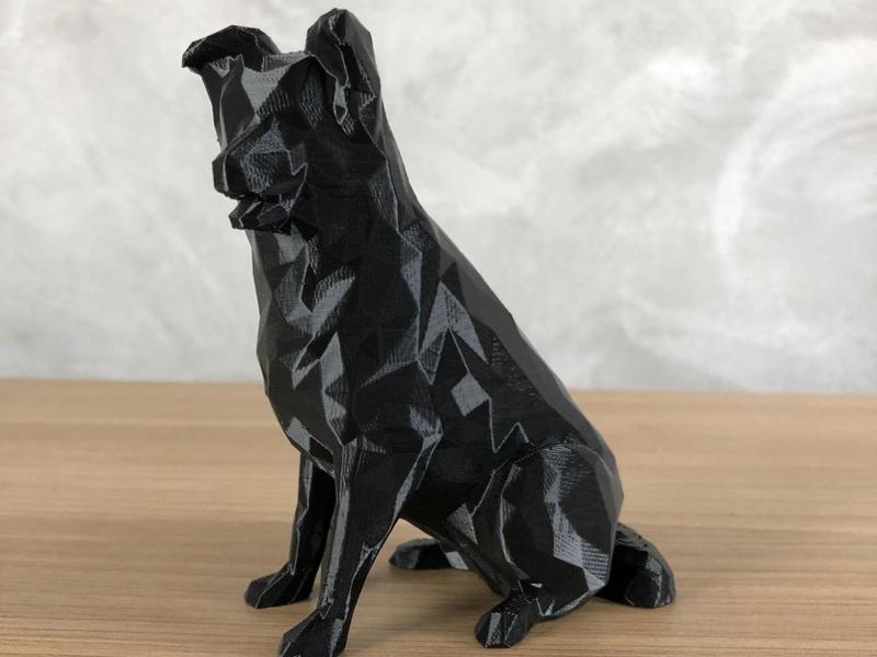 Border Collie Low Poly
