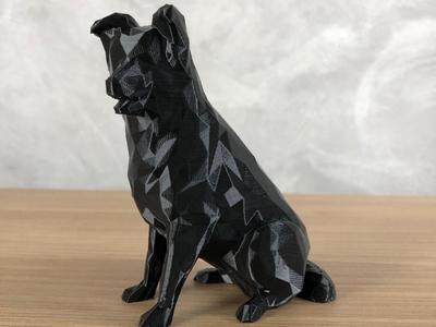 Border Collie Low Poly