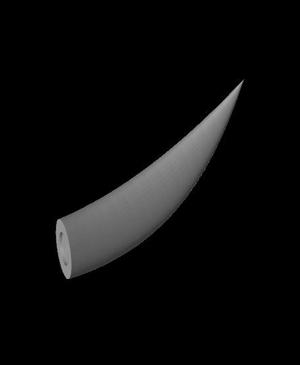 5 inch Horn for M56 Helmets.stl