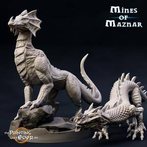 Cave Drakelings - Presupported