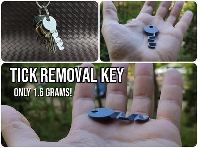 Tick Removal Key - 4 sizes in 1