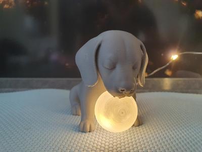 Dachshund Table Lamp Ball Lamp Night Light Puppy
