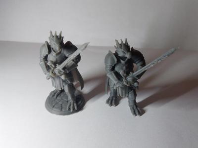 Nigel P. Chudley III - Dragonborn Paladin - Pose 3