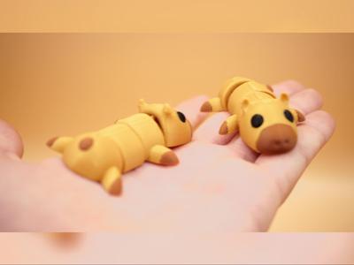 Flexi Capybara - No Supports