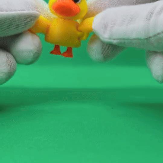 3DL Duck