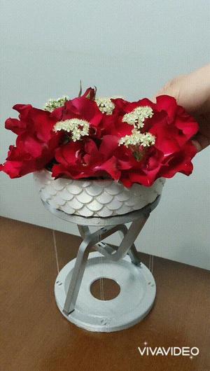 ANTI-GRAVITY PLANTER