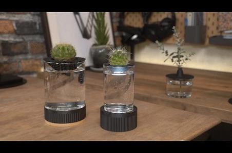 Hydroponics Vase Plate and Base