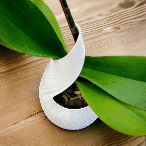 LEAF  |  Orchid Vase Planter, fast-print