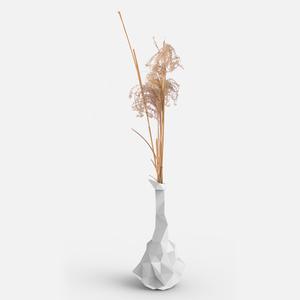 Common Random Vase