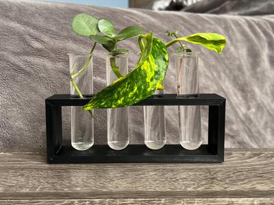Propagation Test Tube Holder