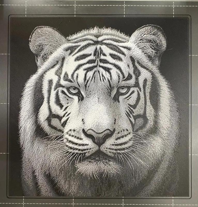 White Tiger - Hueforge   