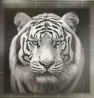 White Tiger - Hueforge   