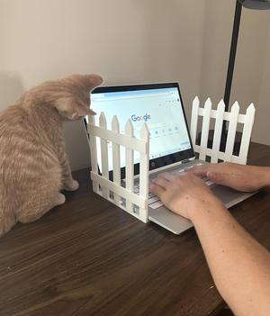 Computer Cat D-Fence