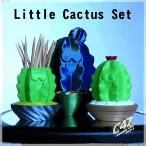 Little Cactus Set